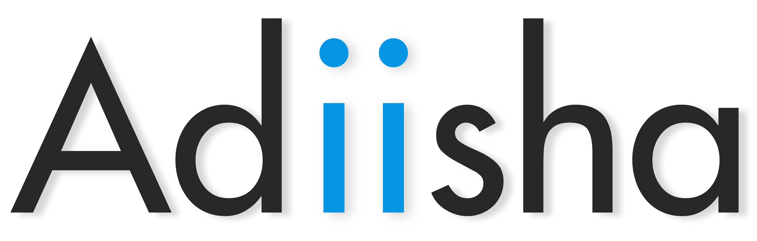 Adiisha DataSystem Pvt Ltd